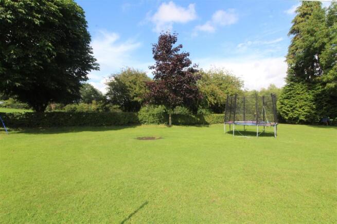 Garden 4.JPG