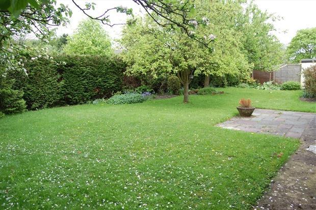garden view 1