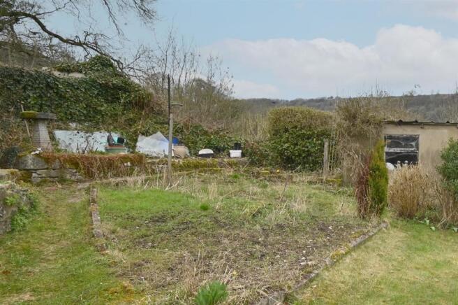 Cropped Garden.jpg