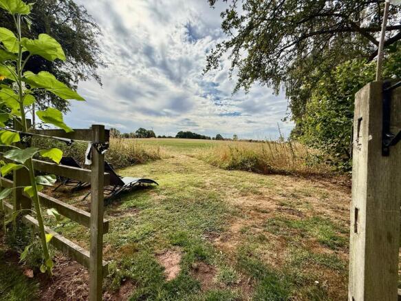 4 Field Views