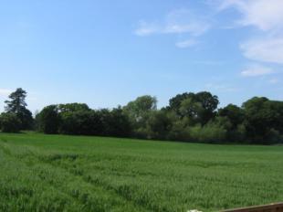 Parkland View