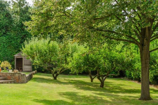 Garden Landscape