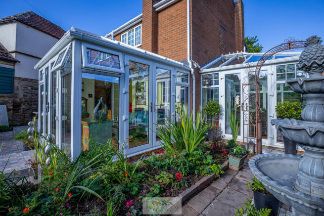 Back garden 1.9
