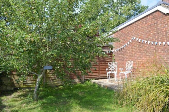 Orchard
