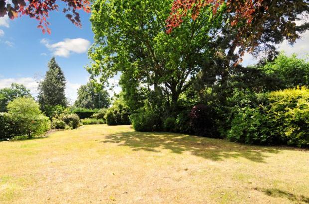 Massive Rear Garden