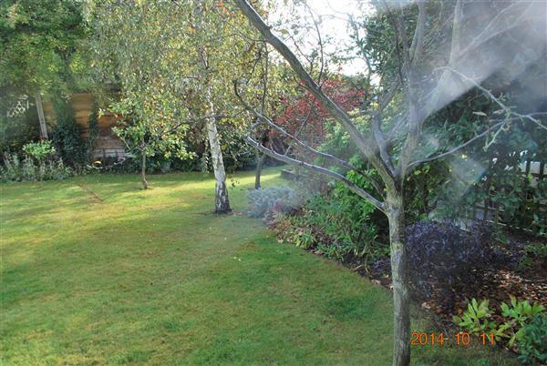 Photo 30