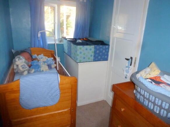 Photo 7