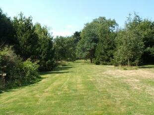 Rear Garden 3