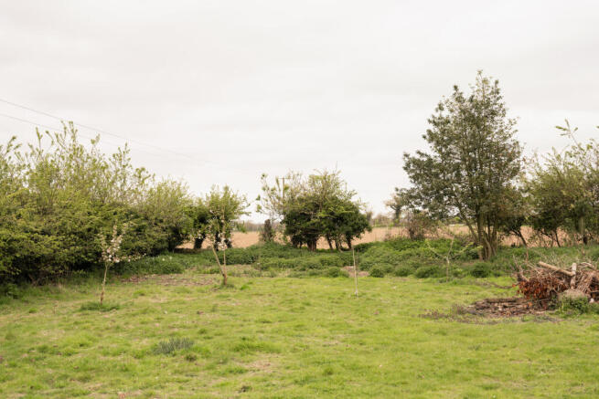 339250 - garden1.jpg