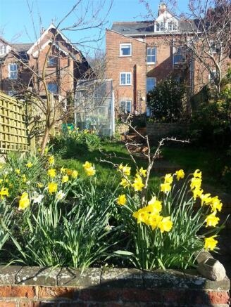 Garden 4.jpg