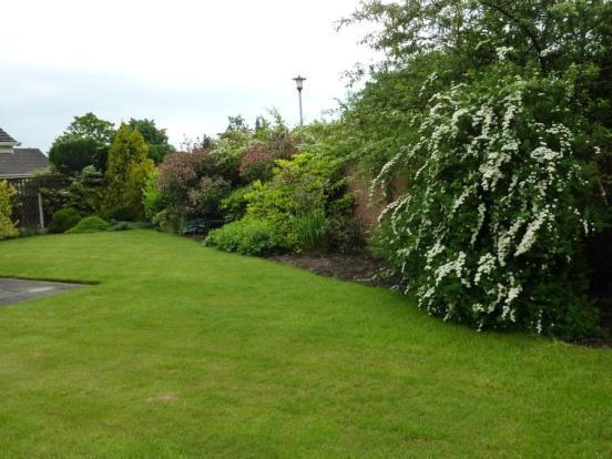 Garden (Aspect 2)