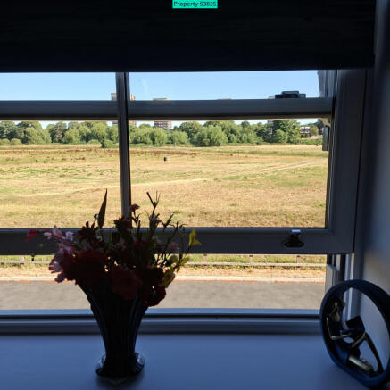 View from dining area