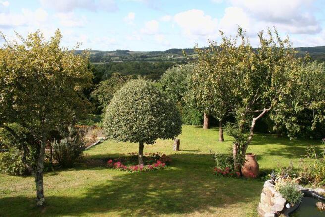 Garden/view