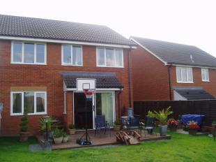 Backgarden