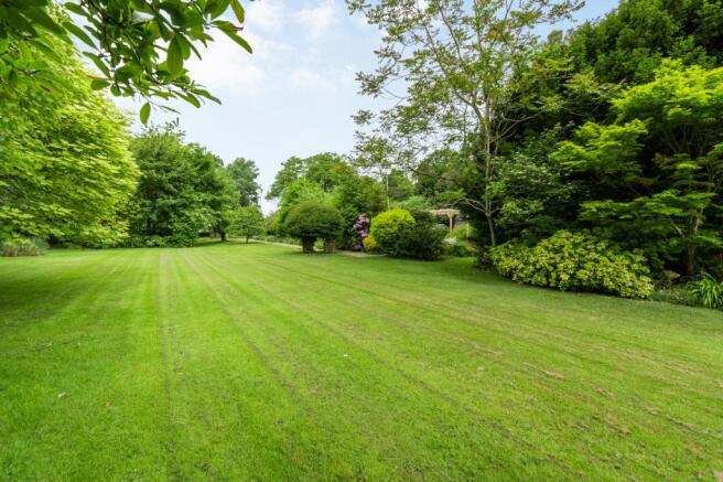 Rear Lawn