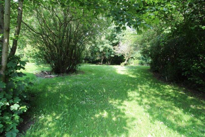 Surrounding Area