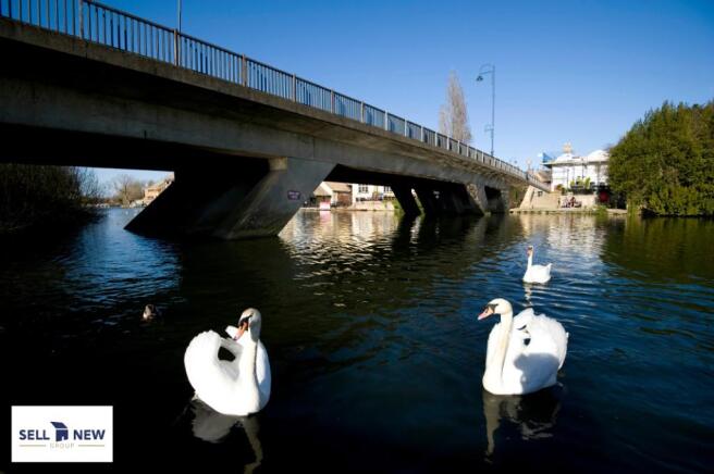 Bridge 