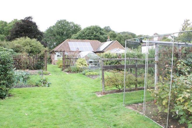 vegetable patch