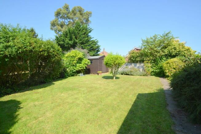 Photo 15