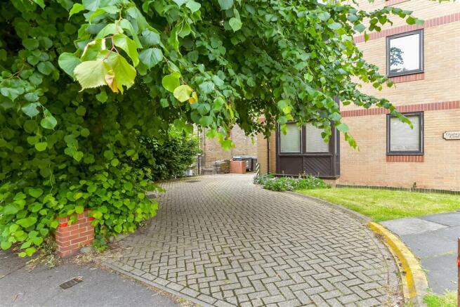 Driveway/Parking