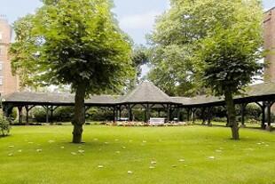 Communal Gardens