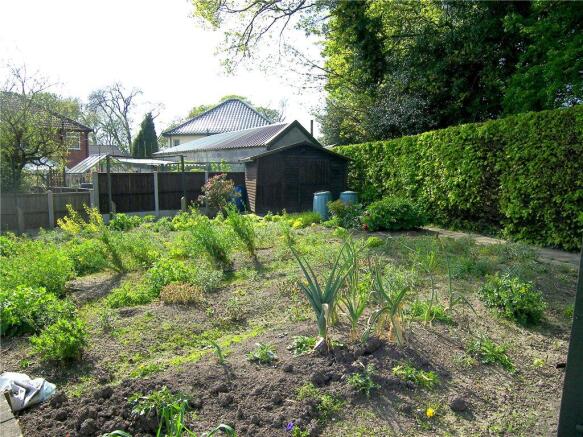Veg Plot