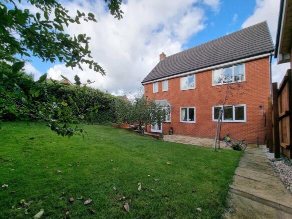 Rear Elevation...