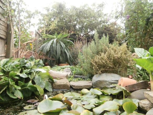 Image 11