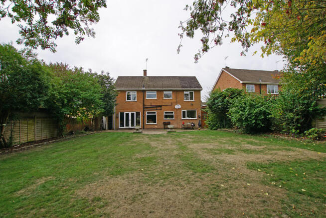 Rear Elevation