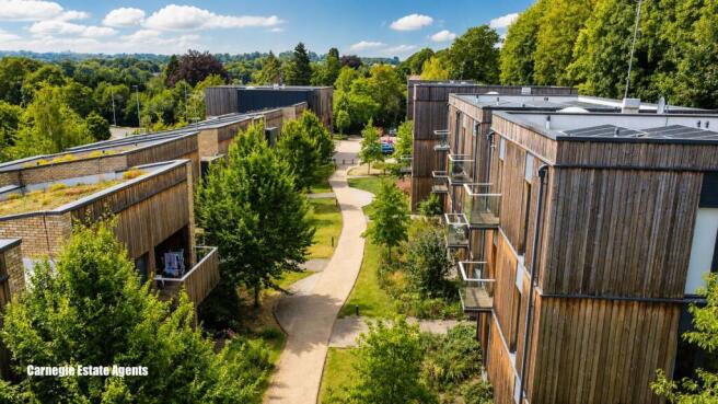 Shared gardens
