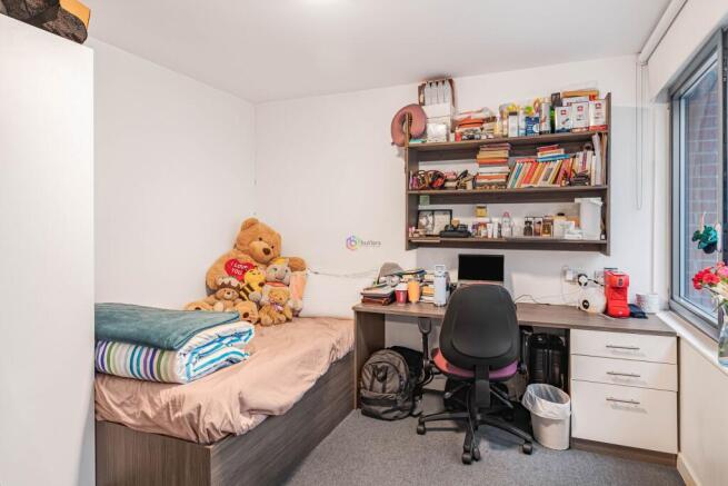 Bedroom / Lounge Area