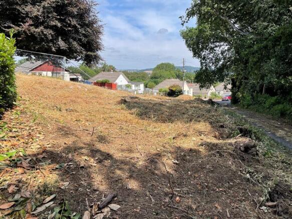 view across plot