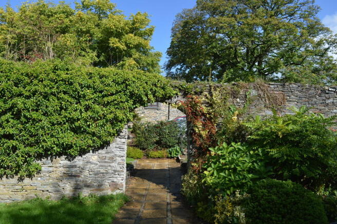 Photo 4