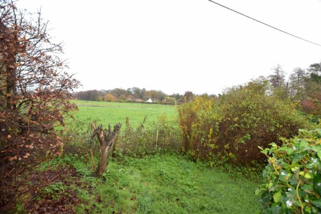 Picture 11