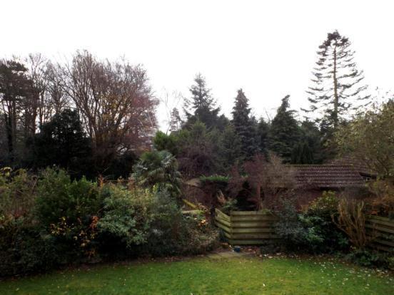View From Bedroom