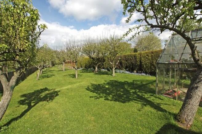 orchard