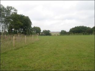 Paddock Land