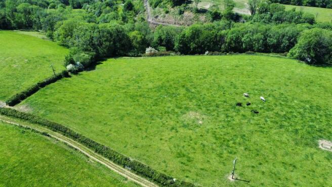 OPTIONAL LAND