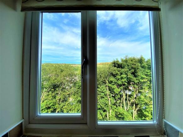 View From Kitchen