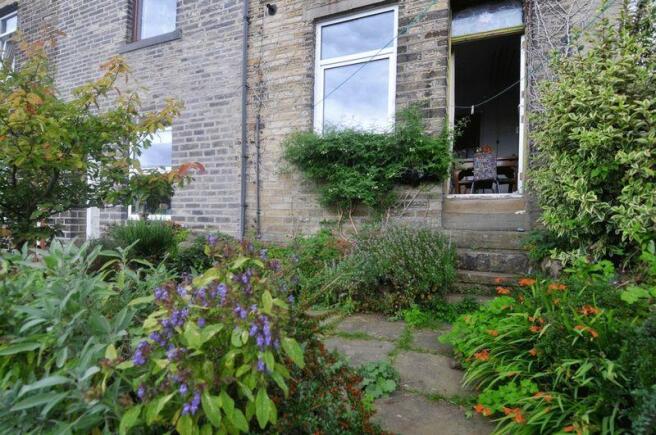 Rear Patio Garden