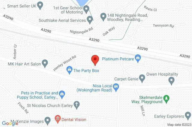 Google Maps Image