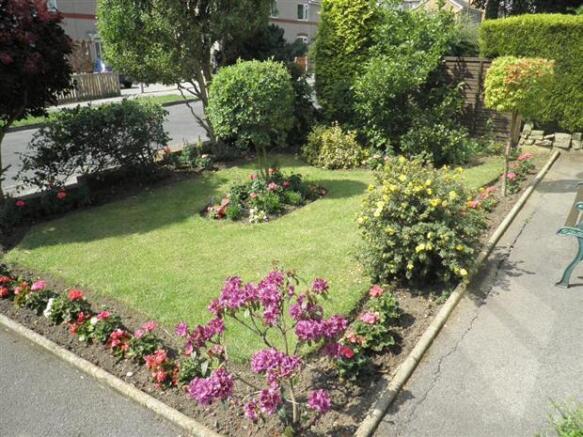 Photo 8
