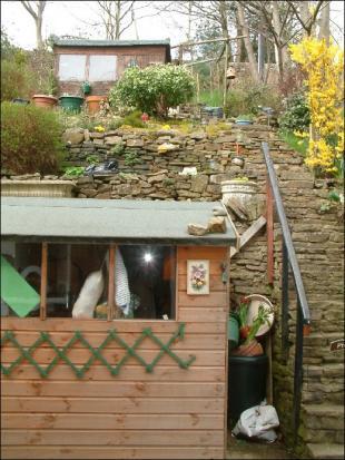 Back Garden