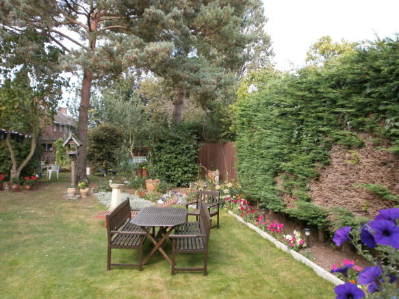 Photo 13