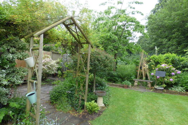 Photo 11