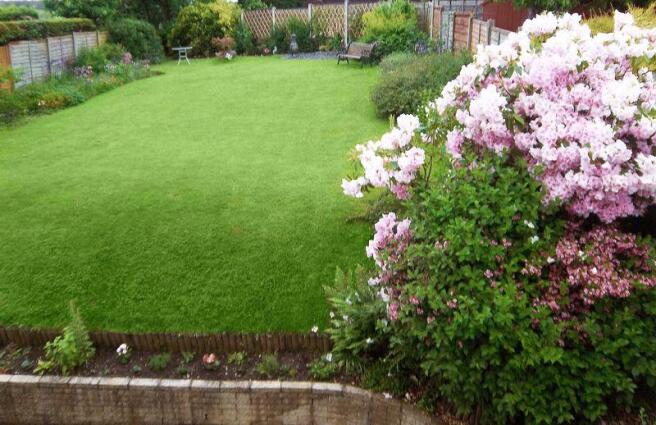 GARDEN IN SUMM...