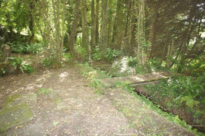 Rear Woodland ...