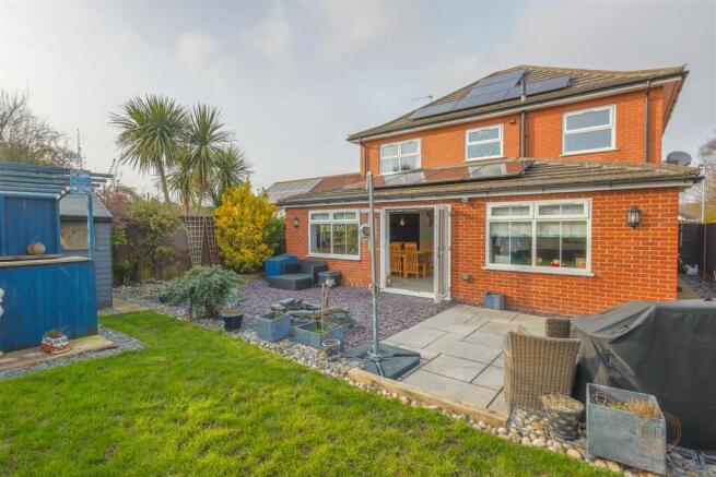 2 heron close-24.jpg