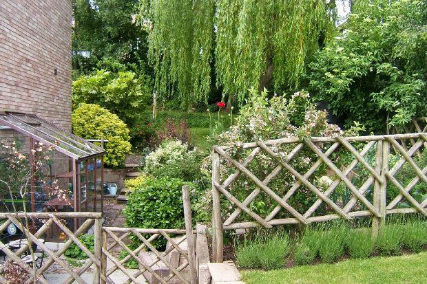 GARDEN IN SUMMER 3