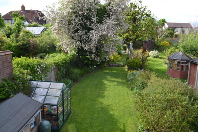 Alternative View